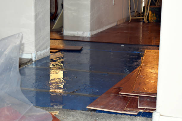 Professional Flood Damage Restoration technician working in Genesee, CO